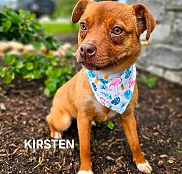 Photo of Kirsten