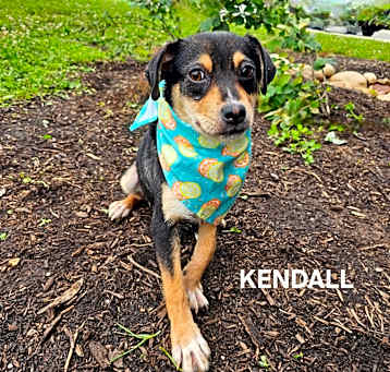 Photo of Kendall