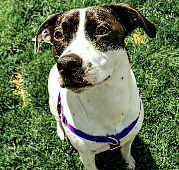 Photo of Gretchen