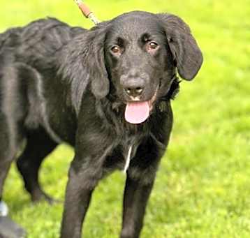 Photo of Zeke