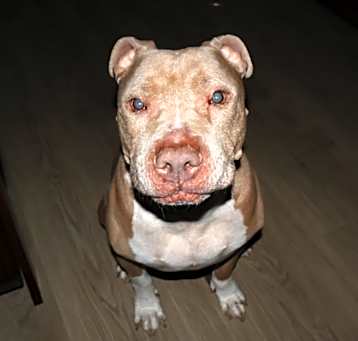 Photo of Zeus