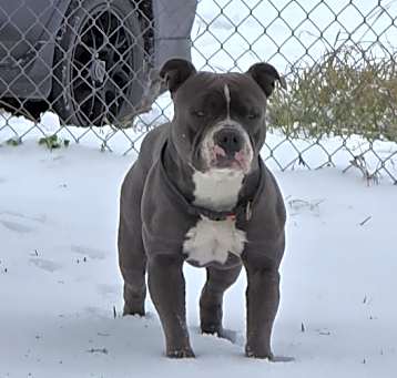 Photo of Tank