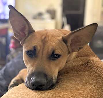 Photo of Samantha