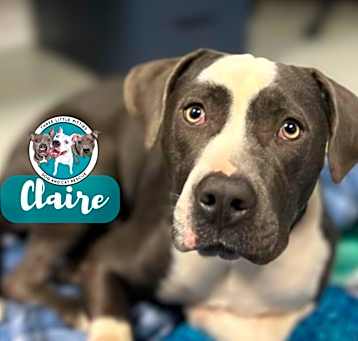 Photo of Claire Bear