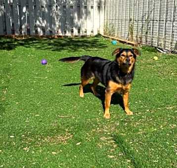 Photo of MOLLY