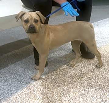 Photo of PENNY