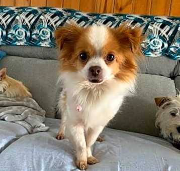 Photo of SASSY