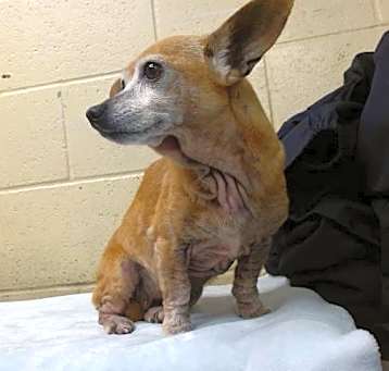 Photo of COCO