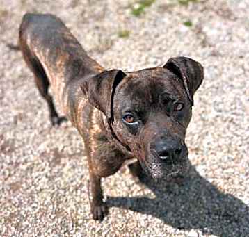 Photo of Maisy