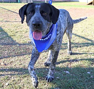 Photo of ROMEO