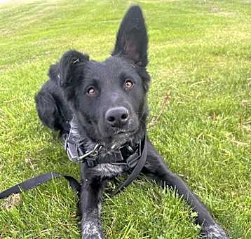 Photo of Knox