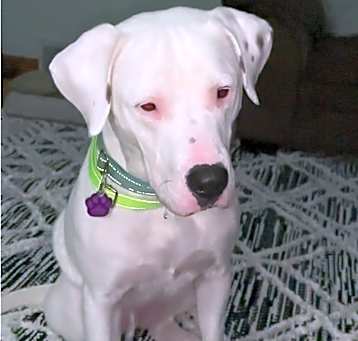Photo of Emmit