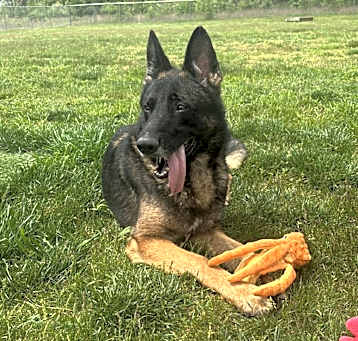 Photo of Kellogg