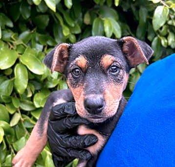 Photo of Wanda