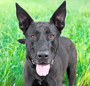 Photo of MARLEY