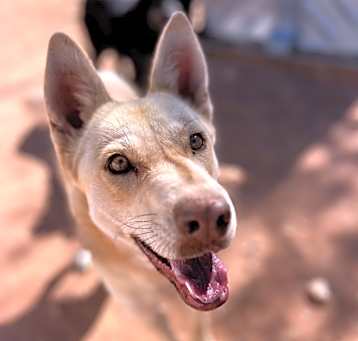 Photo of Hazel