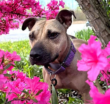 Photo of Spud