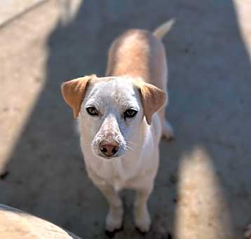 Photo of Leroy