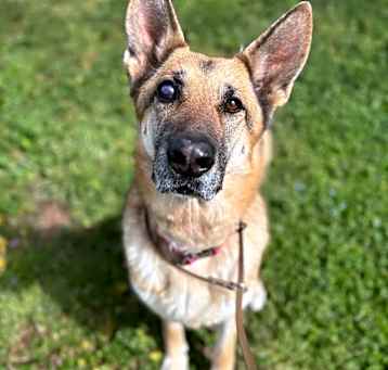 Photo of Nyah