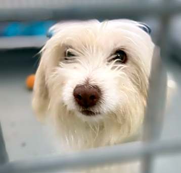 Photo of Quimby
