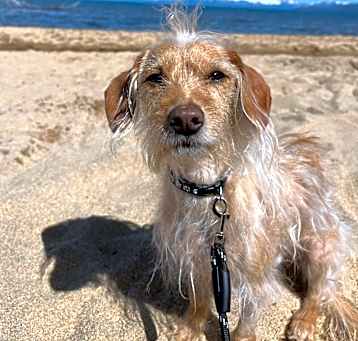 Photo of Tuckerman