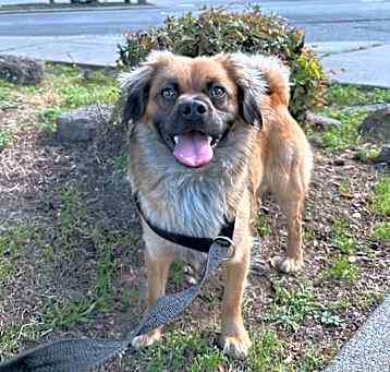 Photo of Parker