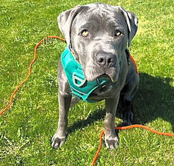 Photo of Nessy