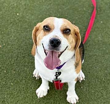 Photo of LAYLA