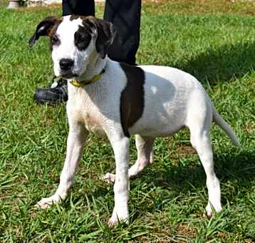 Photo of Betty