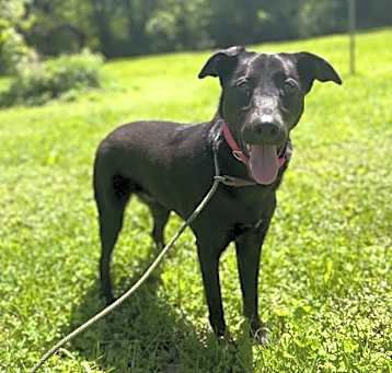 Photo of Birdie