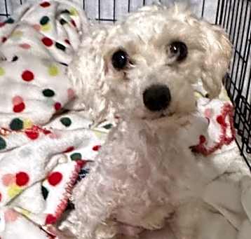 Photo of Winnie