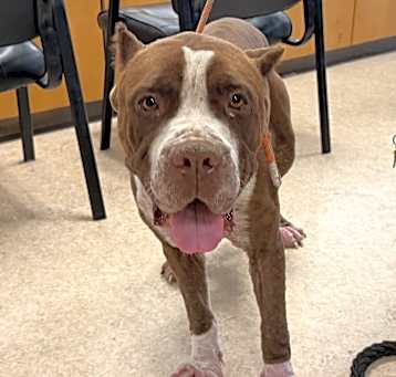 Photo of DAISY