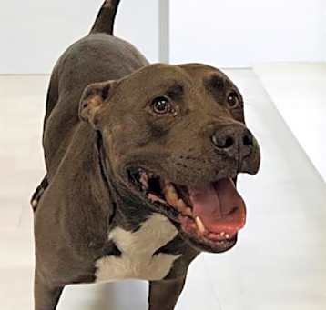 Photo of TWISTER