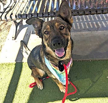 Photo of EMBER