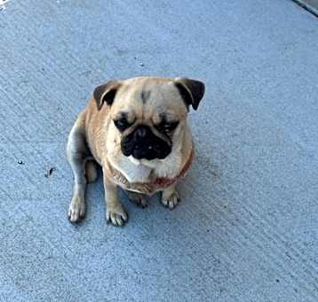 Photo of 58438259