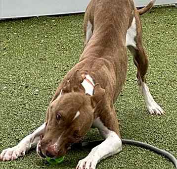 Photo of JINX