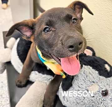 Photo of Wesson