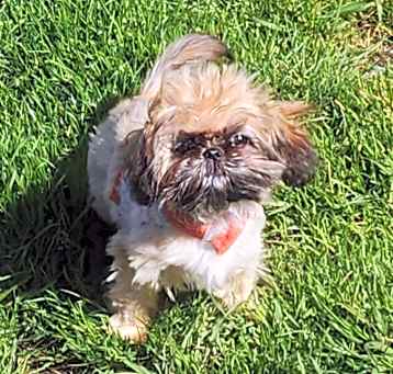 Photo of Peggy