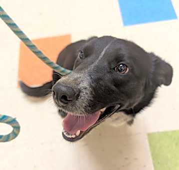 Photo of Buddy