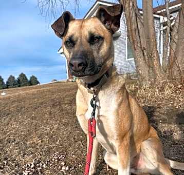 Photo of Jameson