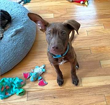 Photo of Simon