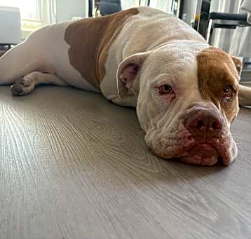 Photo of GUCCI