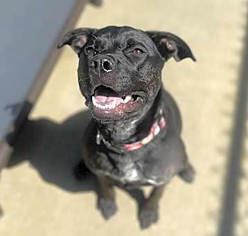 Photo of Coco