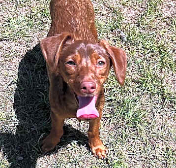 Photo of Wendy