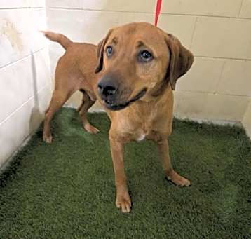 Photo of A1231099