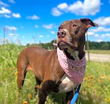 Photo of Xena