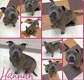 Photo of Hannah