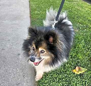 Photo of Lily