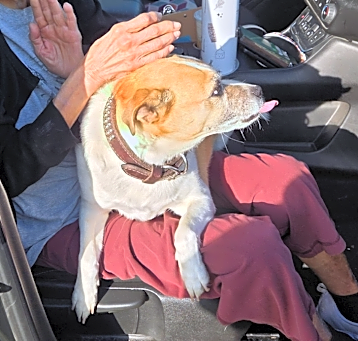 Photo of Mimi