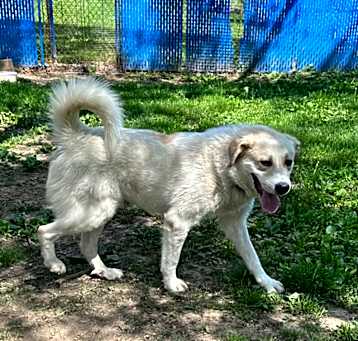 Photo of Wally 